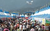 천년건강 웰빙축제 “2011 영주 풍기인삼축제”가자