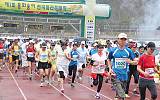 제2회 봉화송이 전국마라톤대회